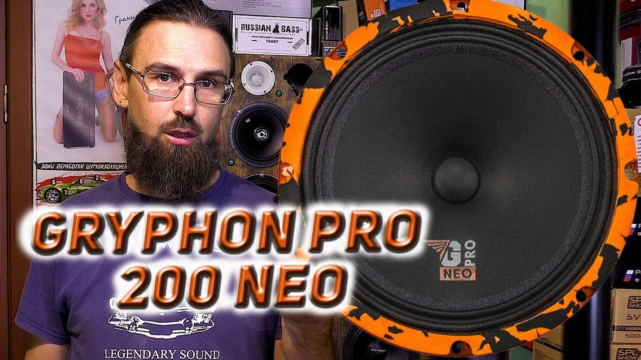 Среднечастотный динамик с неодимовым магнитом DL Audio Gryphon Pro 200 Neo обзор, сравнение