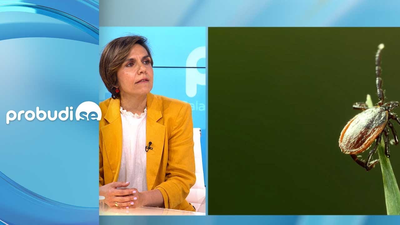 Najezda krpelja: mogu da budu zaraženi bakterijom koja prenosi i druge bolesti - Snežana Tomanović