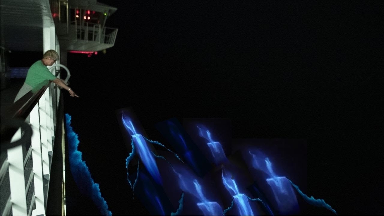 Cruise Ship Encounters GLOW-IN-THE-DARK Creatures!