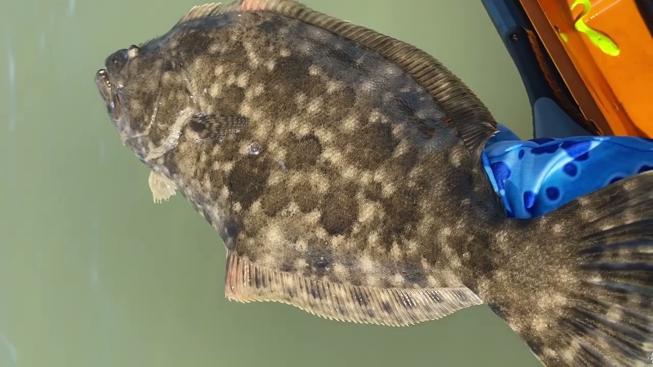 Texas SLAM Fishing A New Spot In Freeport