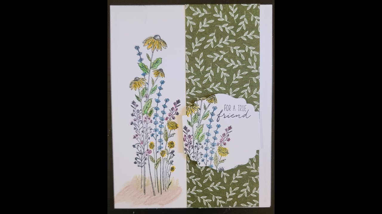 Dragonfly Garden bundle