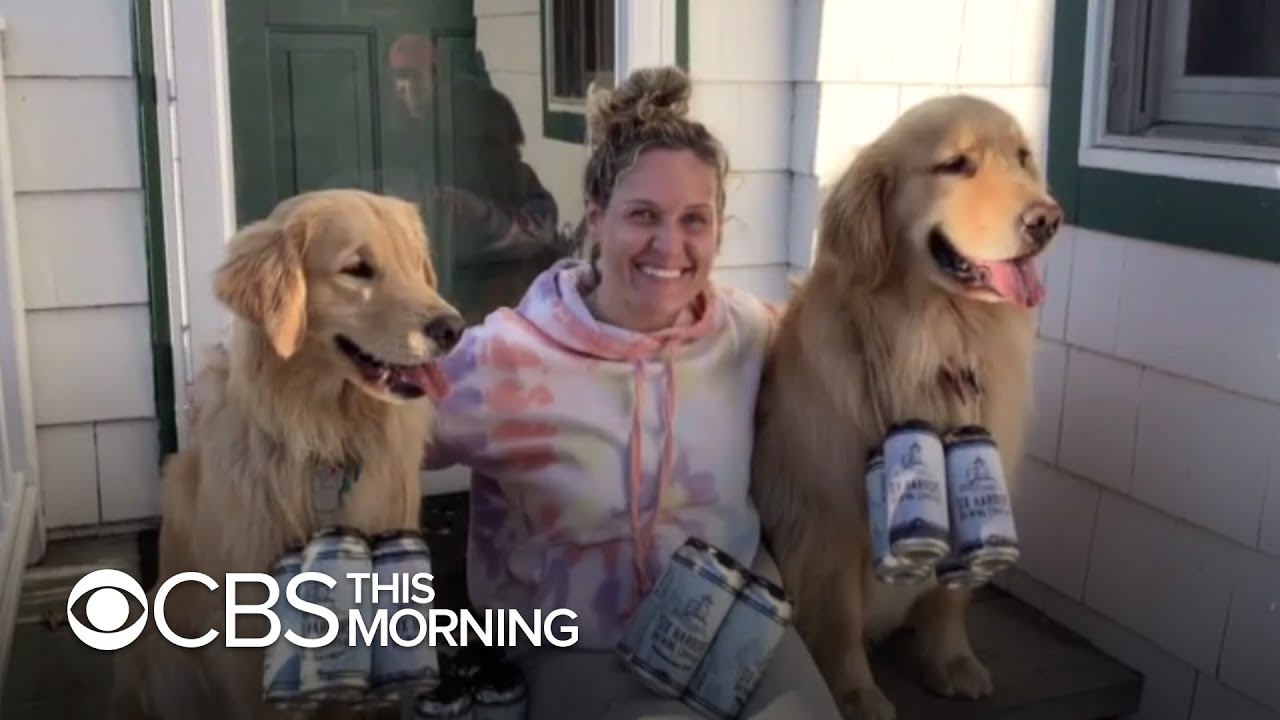 New York brewery uses dogs to help deliver beer while social distancing