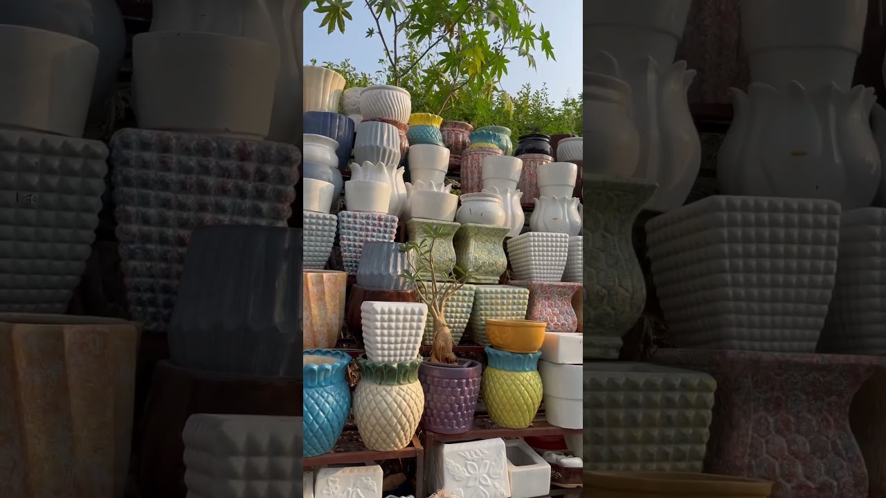 Fancy ceramic pots  for home and office #plants #pots #ceramics #mumbai