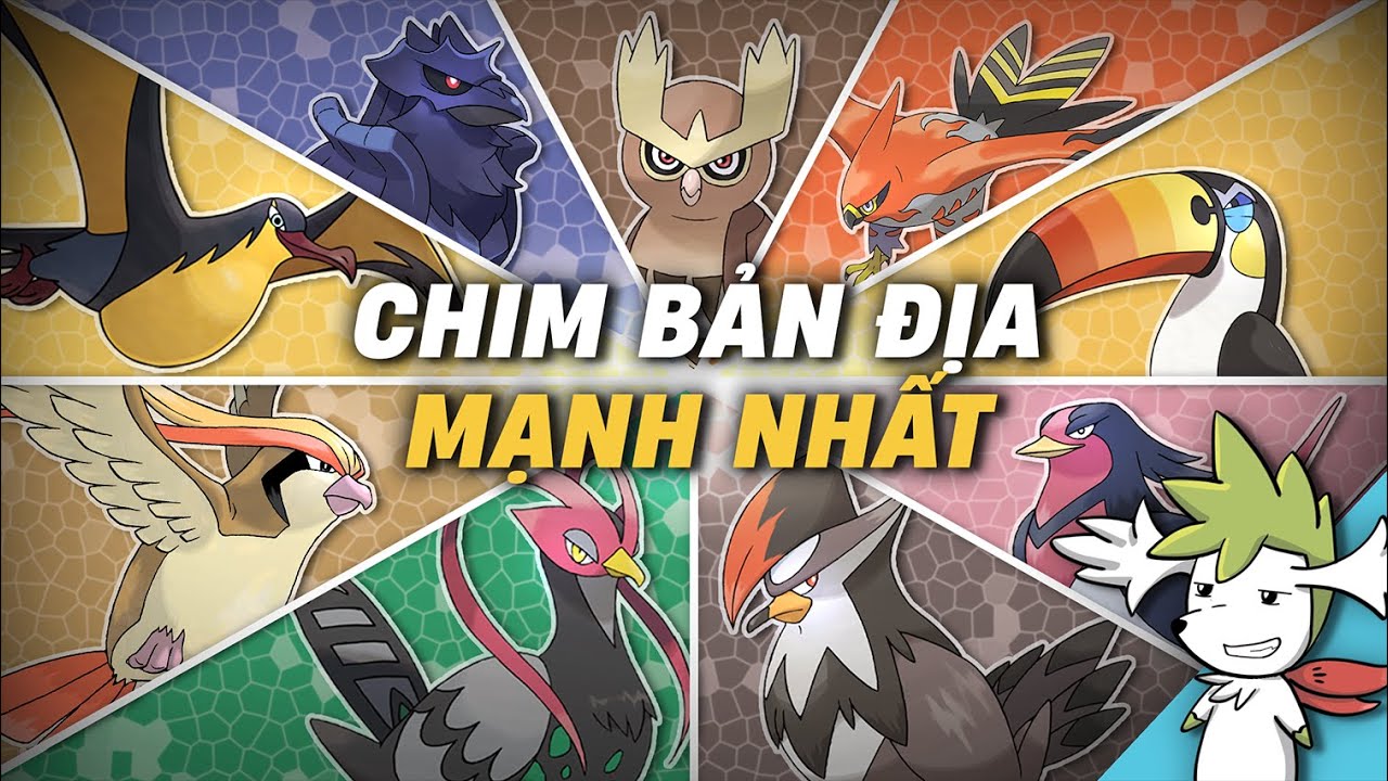 POKEMON | Xếp hạng sức mạnh của những loài chim bản địa | Shaymin Ahhh