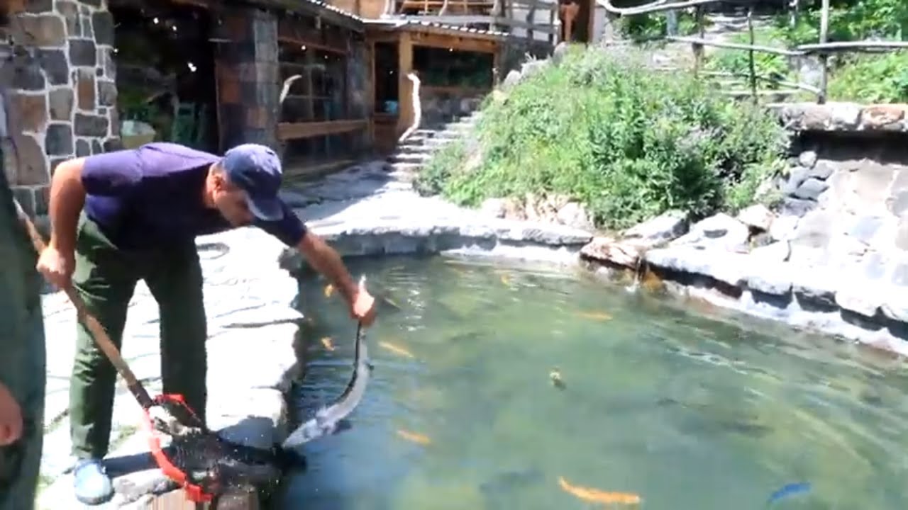Cherkezi Dzor  Fish Valley in Gyumri Armenia, Рыбное ущелье в Гюмри , Ձկան ռեստորան Չերքեզի ձոր 2021