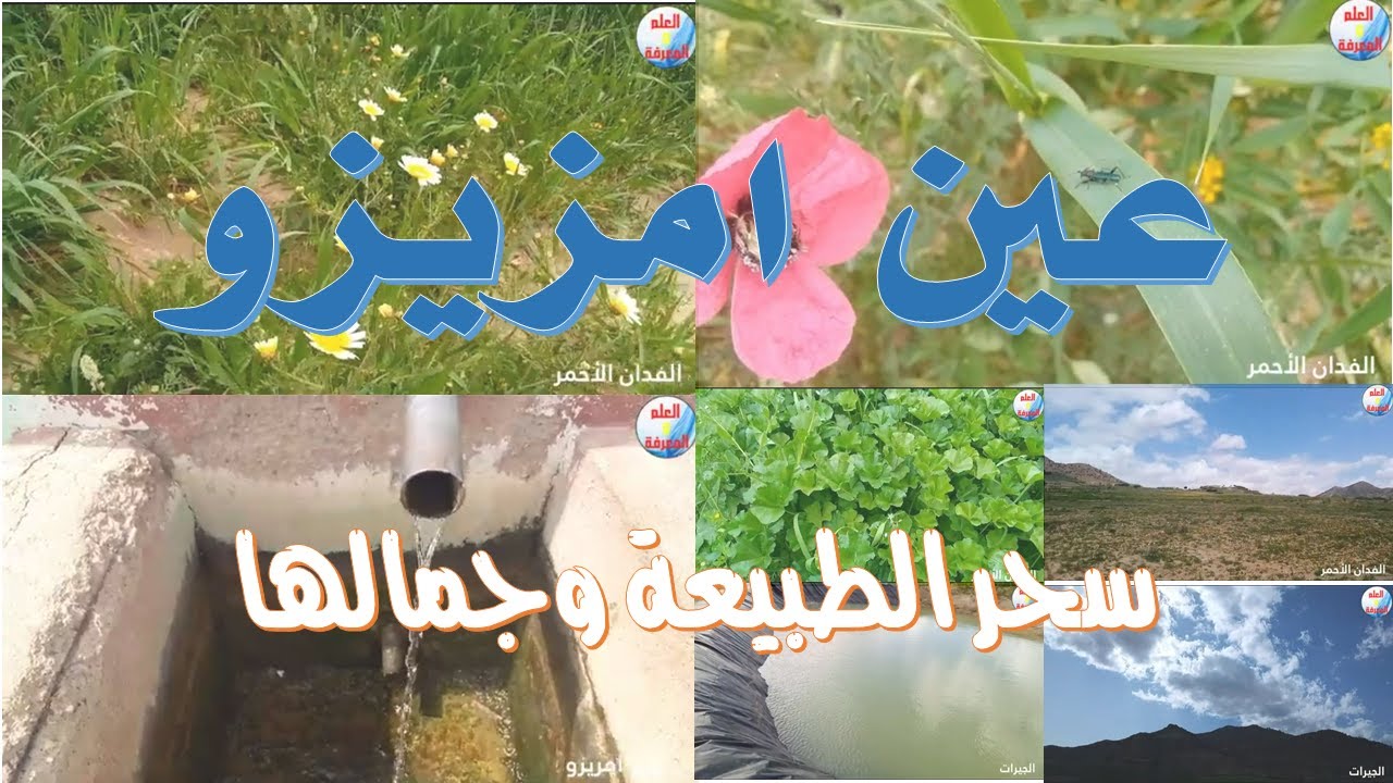 عين امزيزو ... سحر الطبيعة وجمالها – الجزء الأول بجودة عالية - يستحق المشاهدة