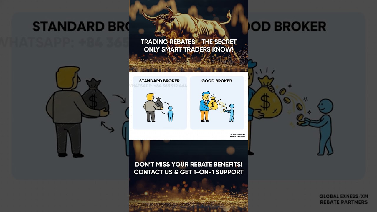Forex Rebate Guide: Earn Cashback on Every Trade!