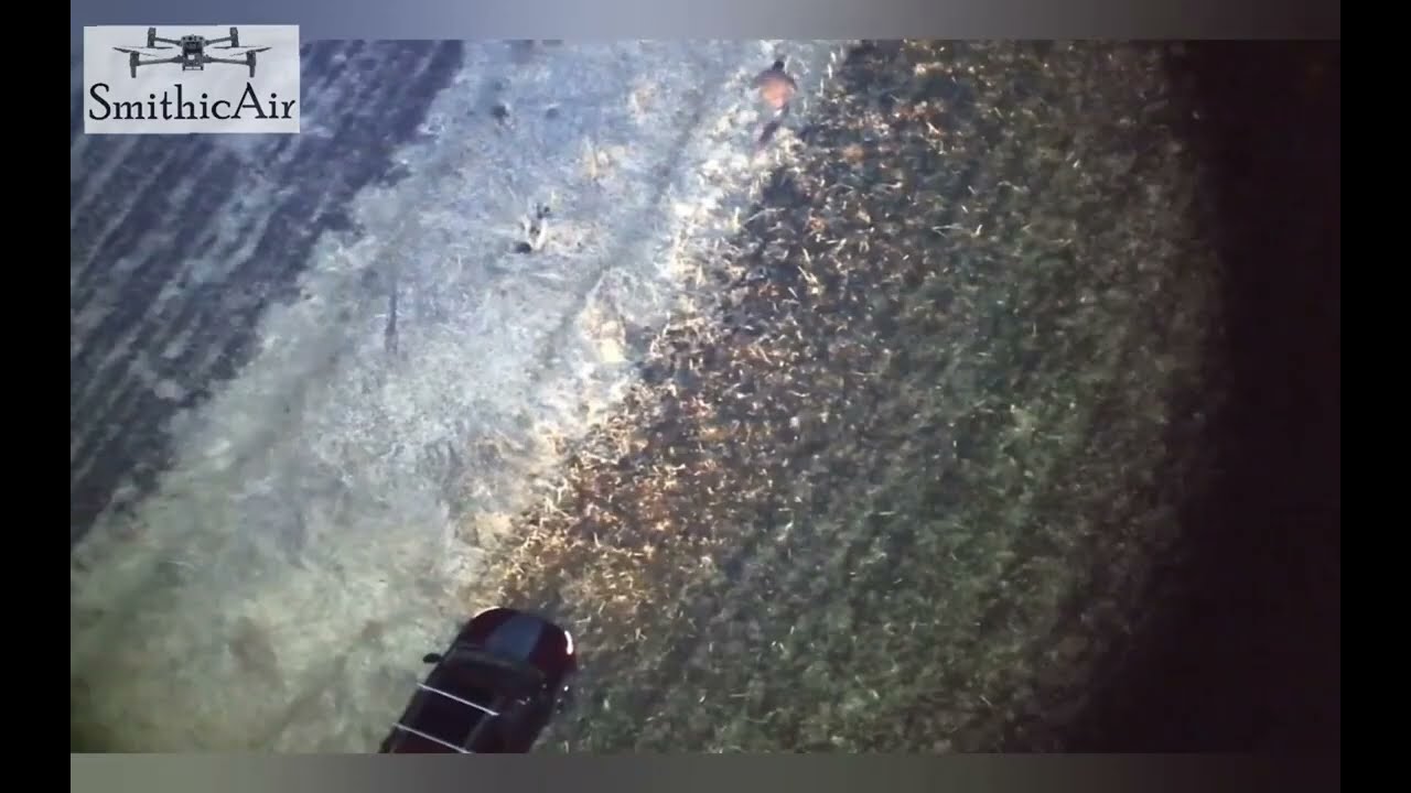 Dramatic car chase in field for lost puppy