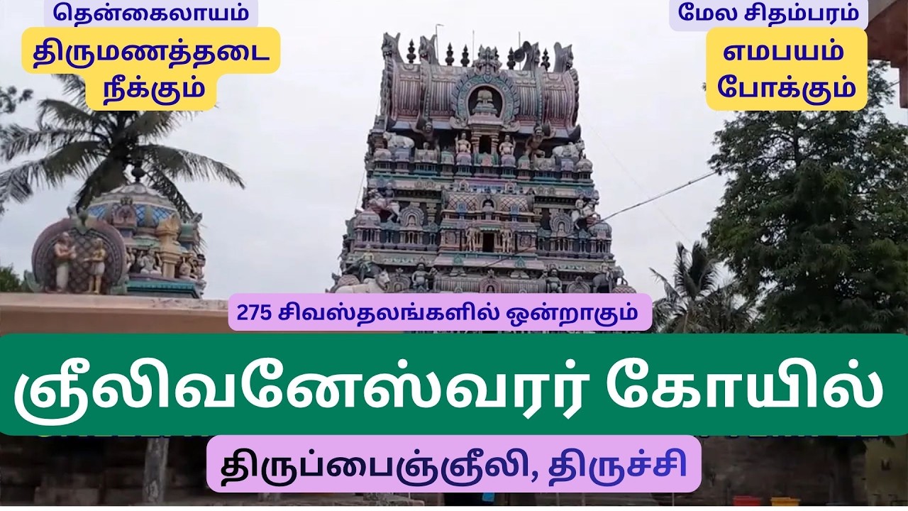Shri Gneelivaneswarar Visalakshi Temple   Thiruppainjeeli