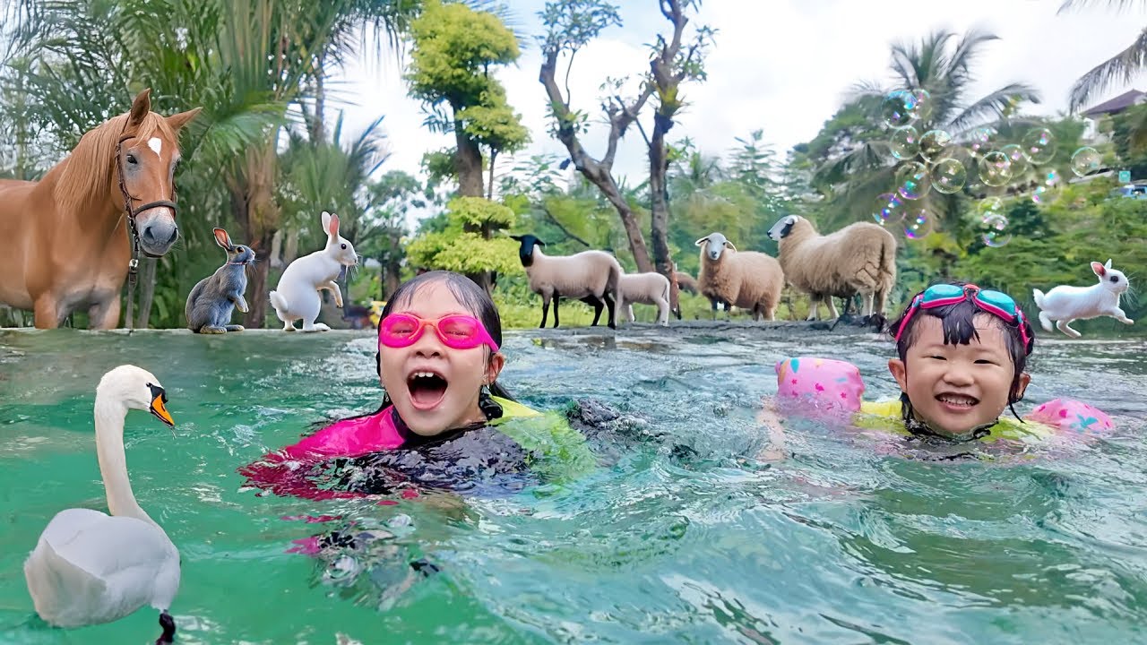 Berenang dan Kasih Makan Kuda, Kelinci, Domba dan Angsa - Binatang Lucu