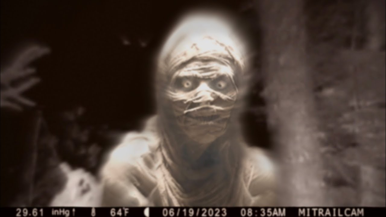 Самые пугающие существа, запечатлённые на Trail Cam в 2023 году