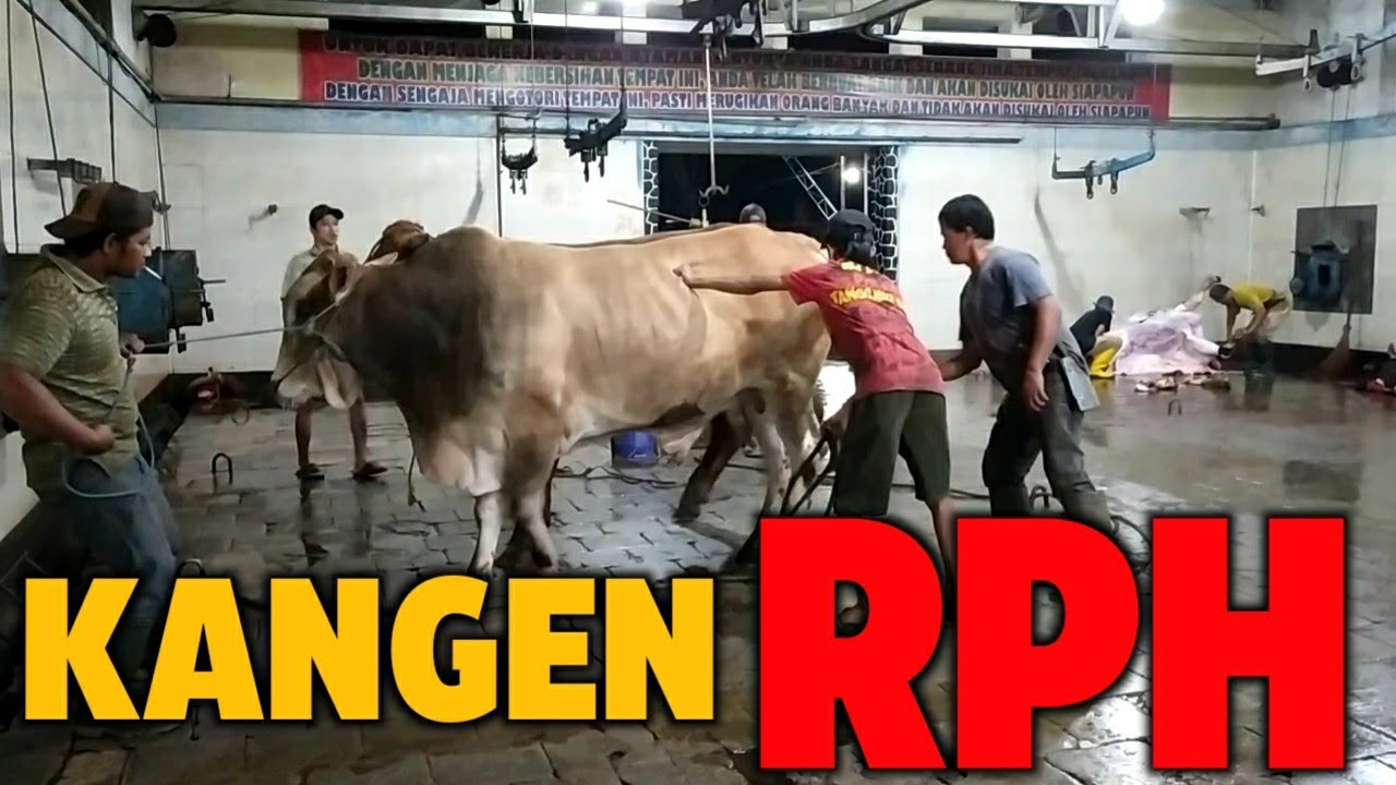 MAEN KE RPH LAGI!!!!