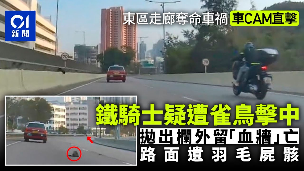 【01秒看新聞】東區走廊奪命車禍．有片｜鐵騎士疑撼雀拋出欄外 路面遺羽毛屍骸｜01新聞｜東區走廊｜車CAM｜鐵騎士｜羽毛｜電單車