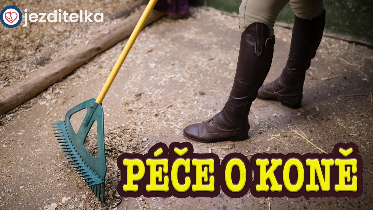 Jak se starat o koně /KOŇÁKOVA ZPOVĚĎ /
