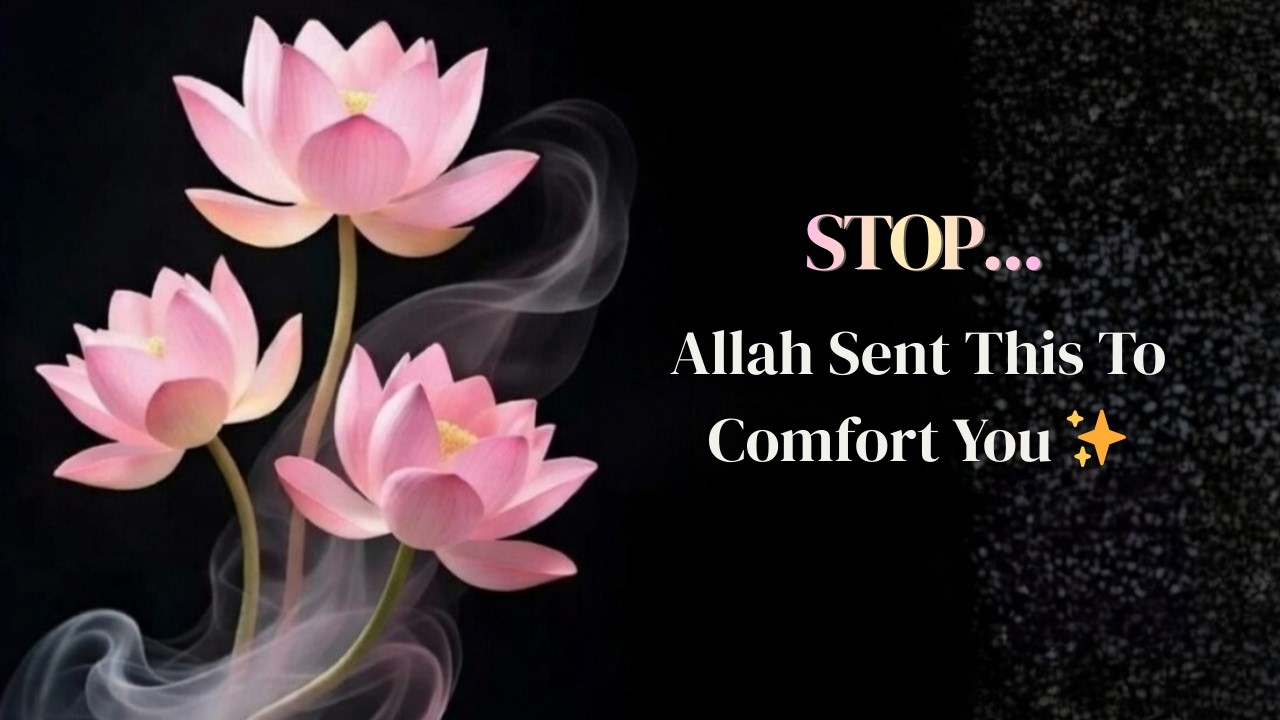 Allah Sent This To Comfort You ✨