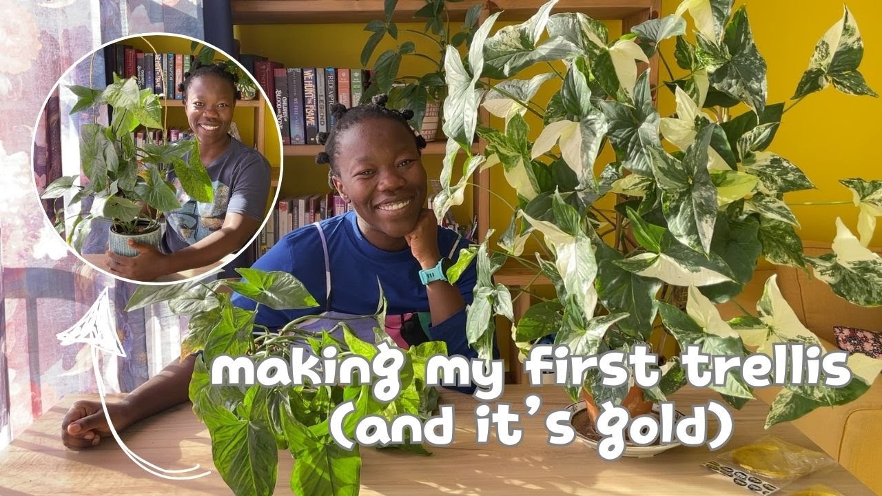 making my first trellis (and it's gold ⚜️)