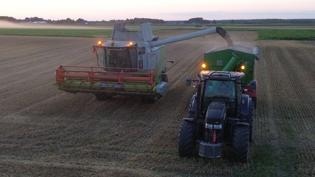Żniwa 2024 🔥 Claas Tucano 440 🔥 Case Puma 140 🔥