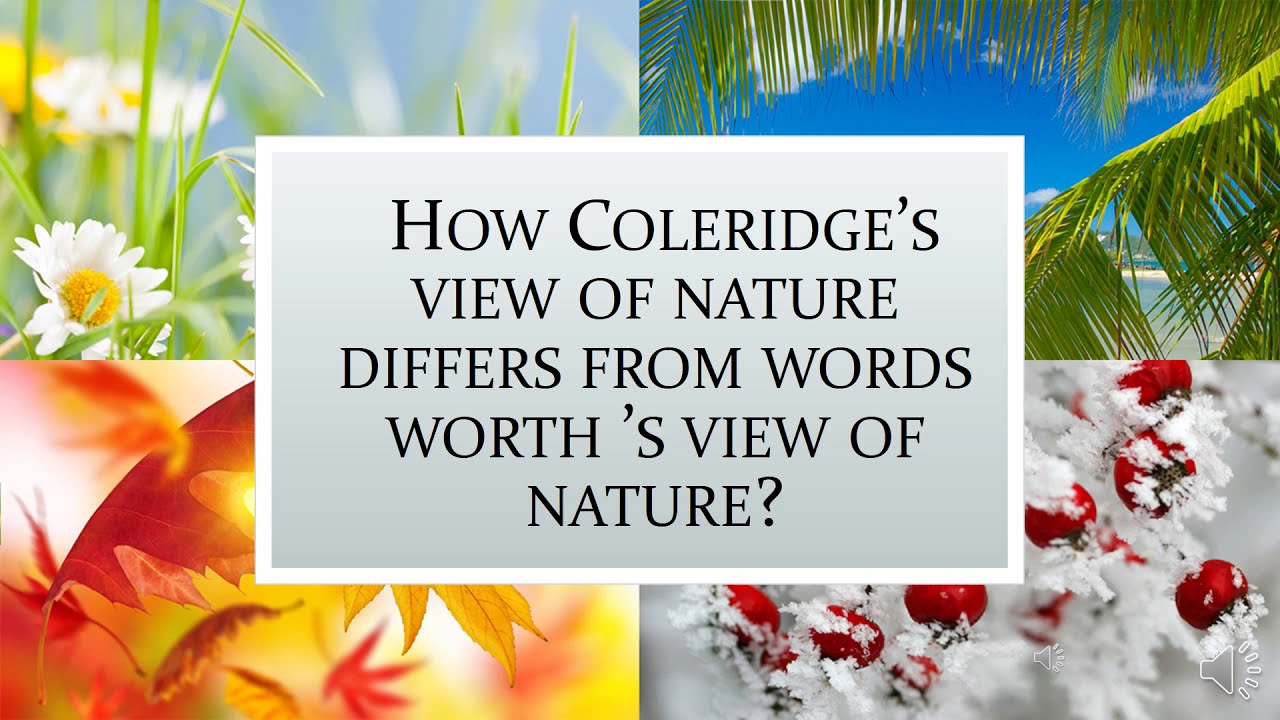 Coleridge’s view of Nature. How Coleridge’s view differs from Wordsworth ’s view of nature?