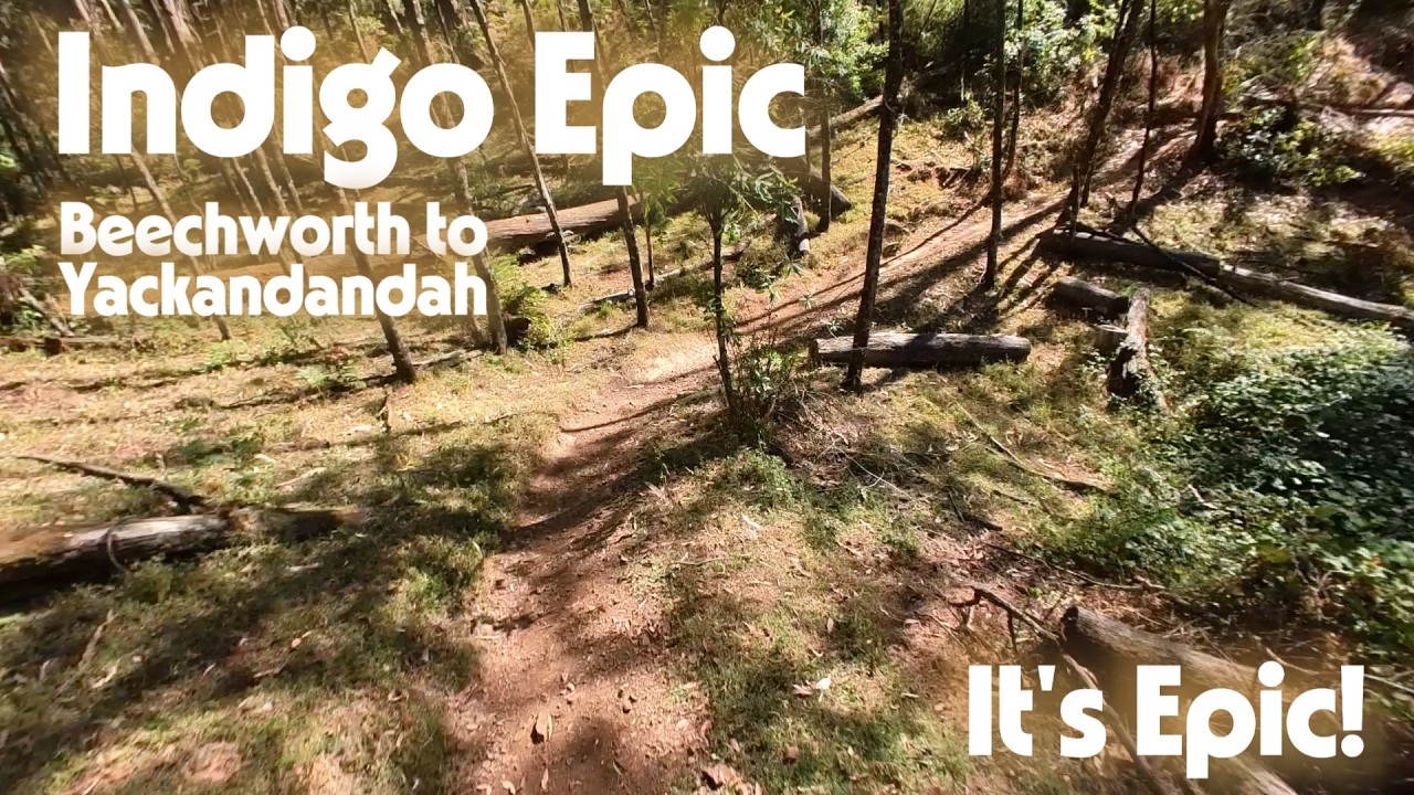 Here's why the Indigo Epic is one of Australia's best MTB Trails.