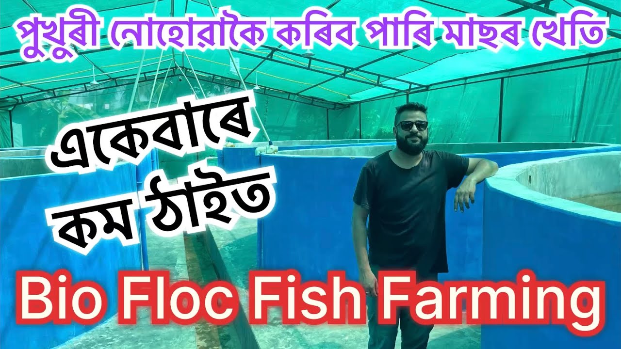 পুখুৰী নোহোৱাকৈ কৰিছে মাছৰ খেতি Business ideas IIBio Floc IIBio Floc Fish Farming in Assam॥Bio flog