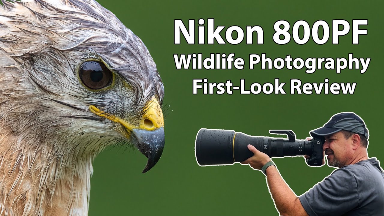 Nikon 800 PF Review For Wildlife Photography (first look)