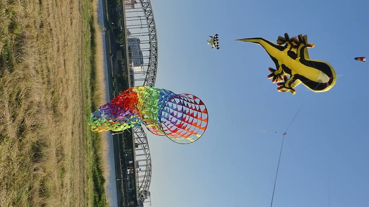 Einleiner Drachen mit leinenschmuck.(1)
