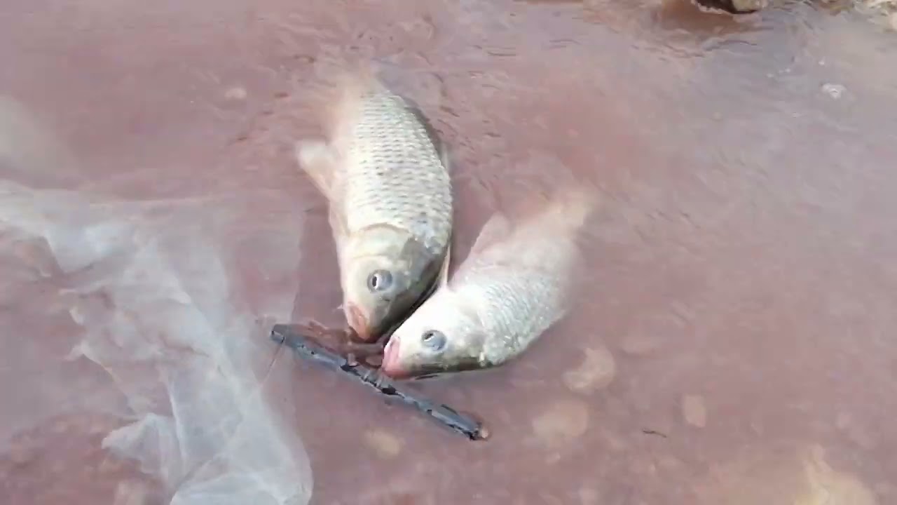 Fishing in Tanda Dam Kohat Pakistan