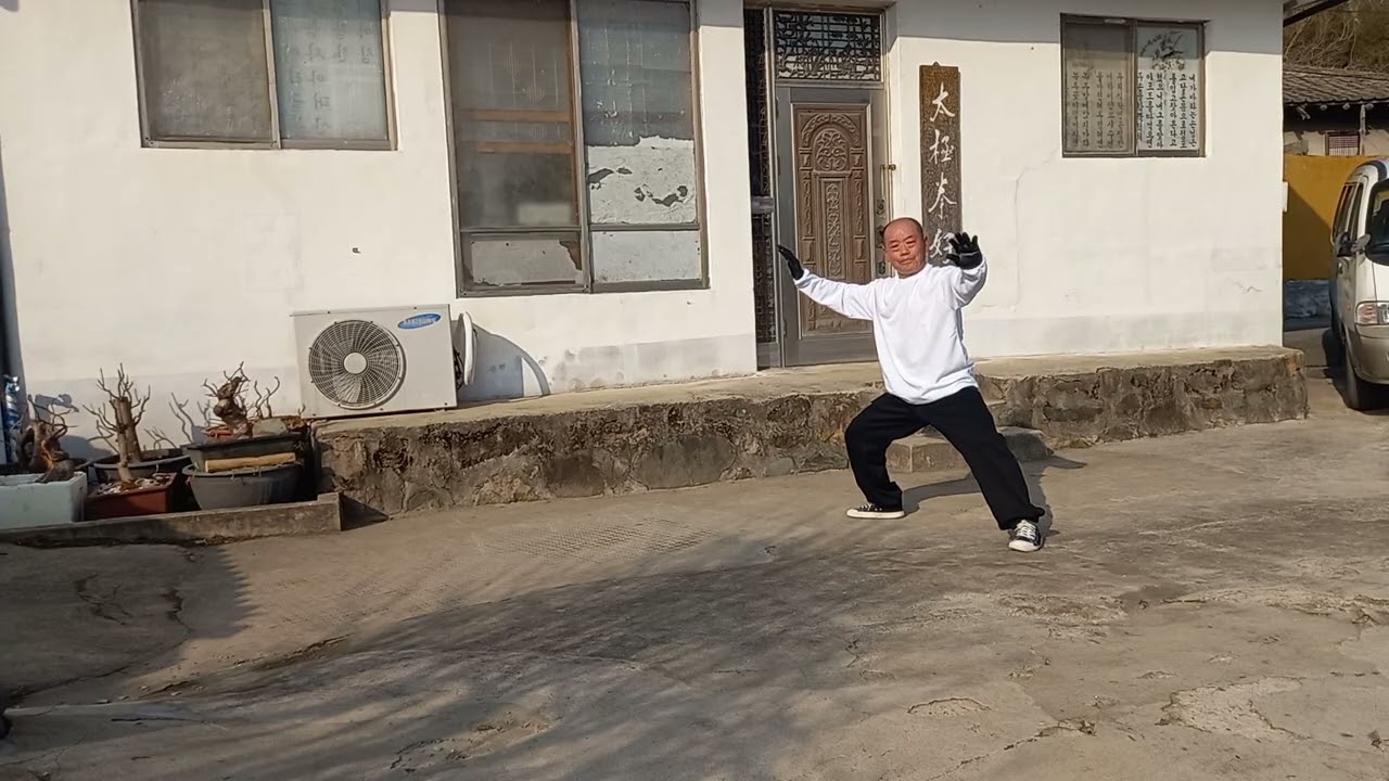 진식태극권(56식)