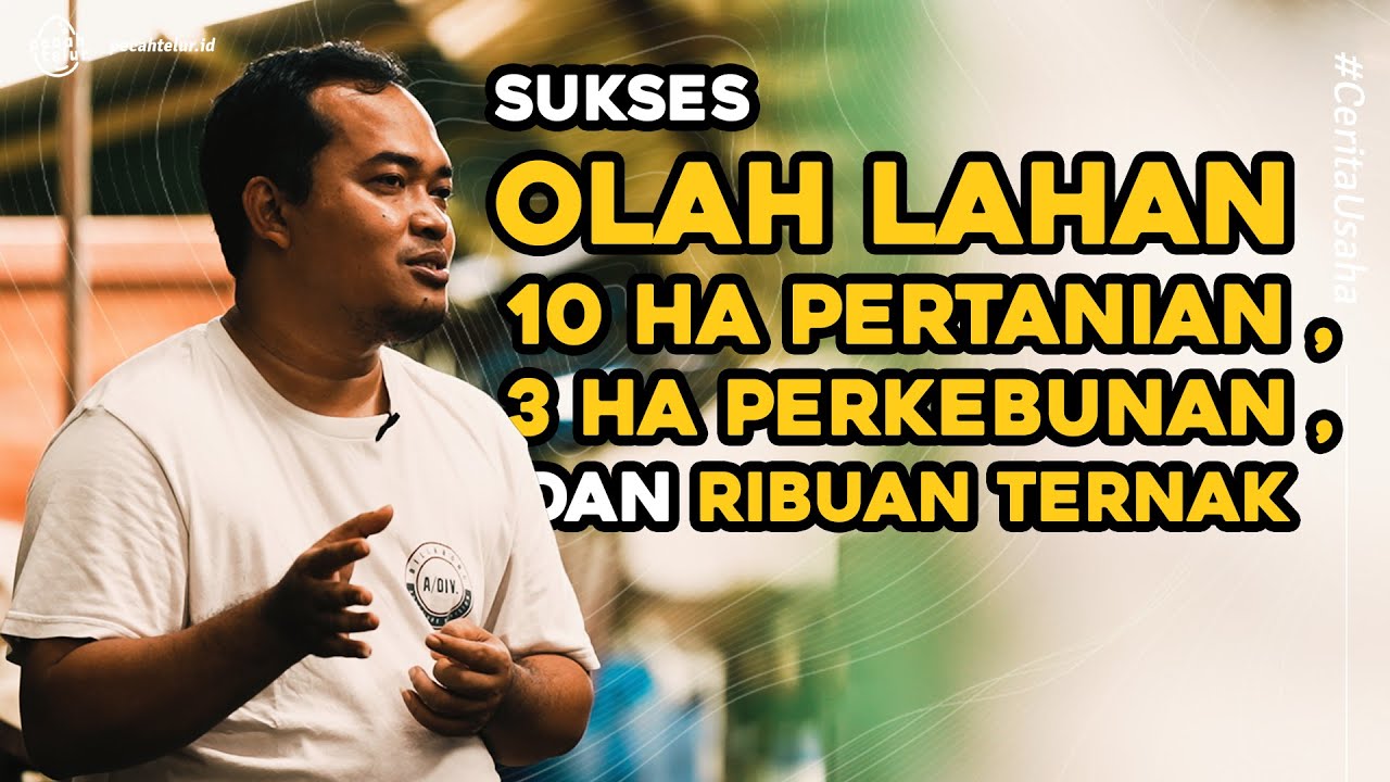 Berawal dari Ratusan Domba Jadi Hektaran Lahan Rumput, Kebun, Cacing, Entok dan Ikan!