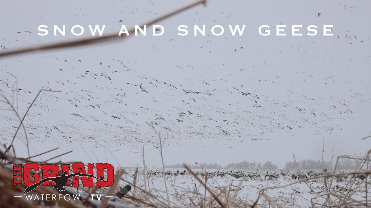 Снег и снежные гуси | The Grind S9:E13