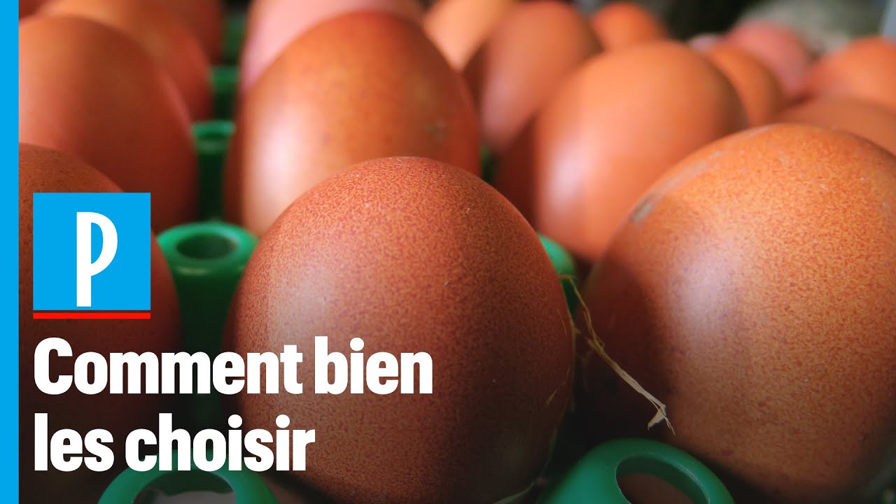 Comment bien choisir ses oeufs