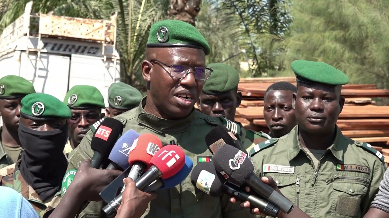 Ziguinchor : saisie record de bois & matériels estimés à 300 Millions FCFA, 74 personnes déférées
