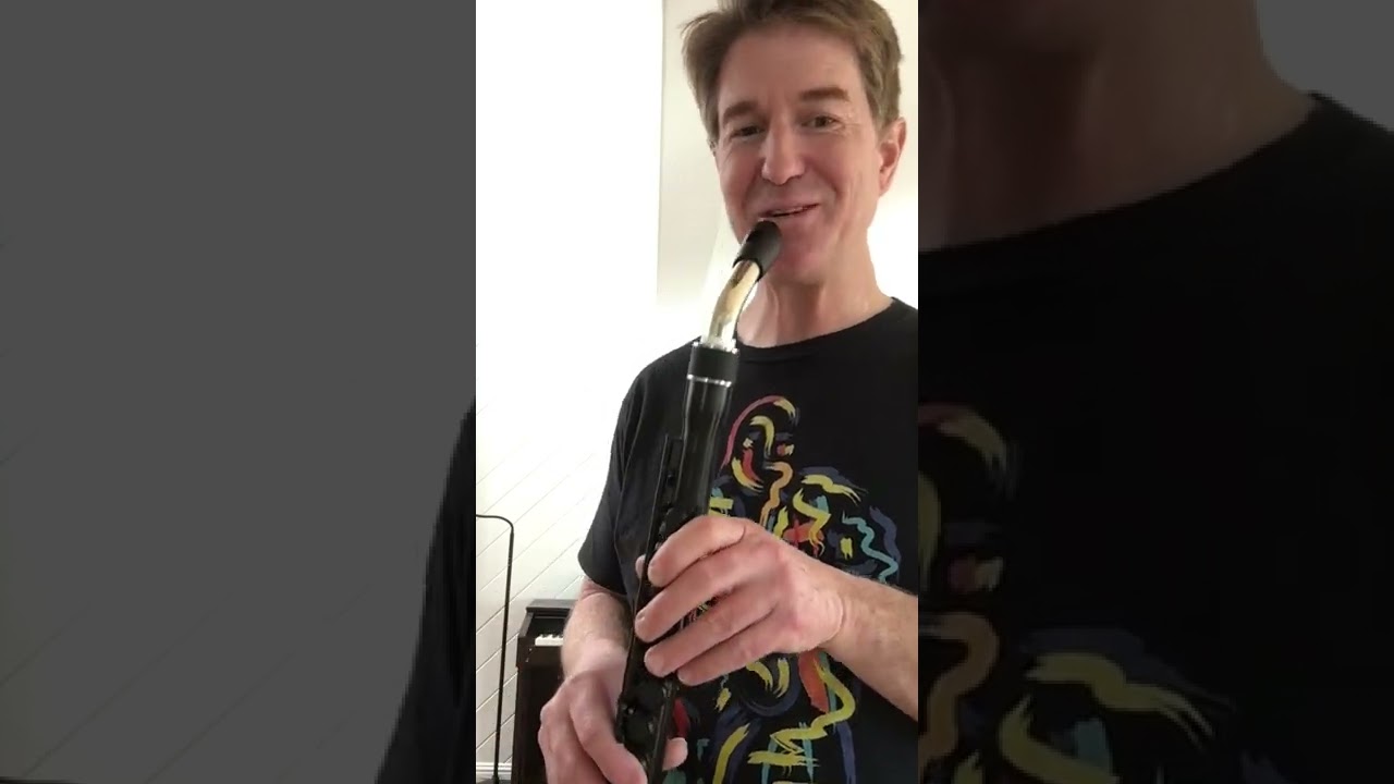 FLIPHEAD fipple/recorder head joint for flute