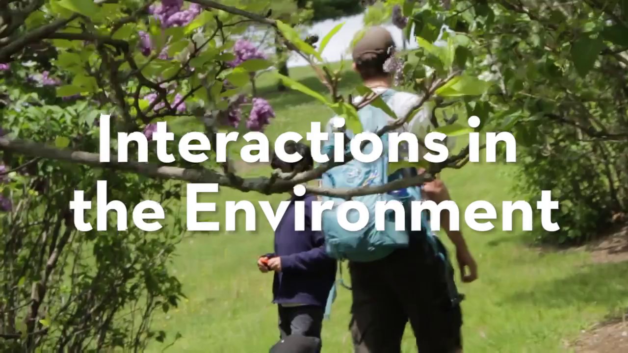 Interactions in the Environment - Educational Programs at the Humber Arboretum