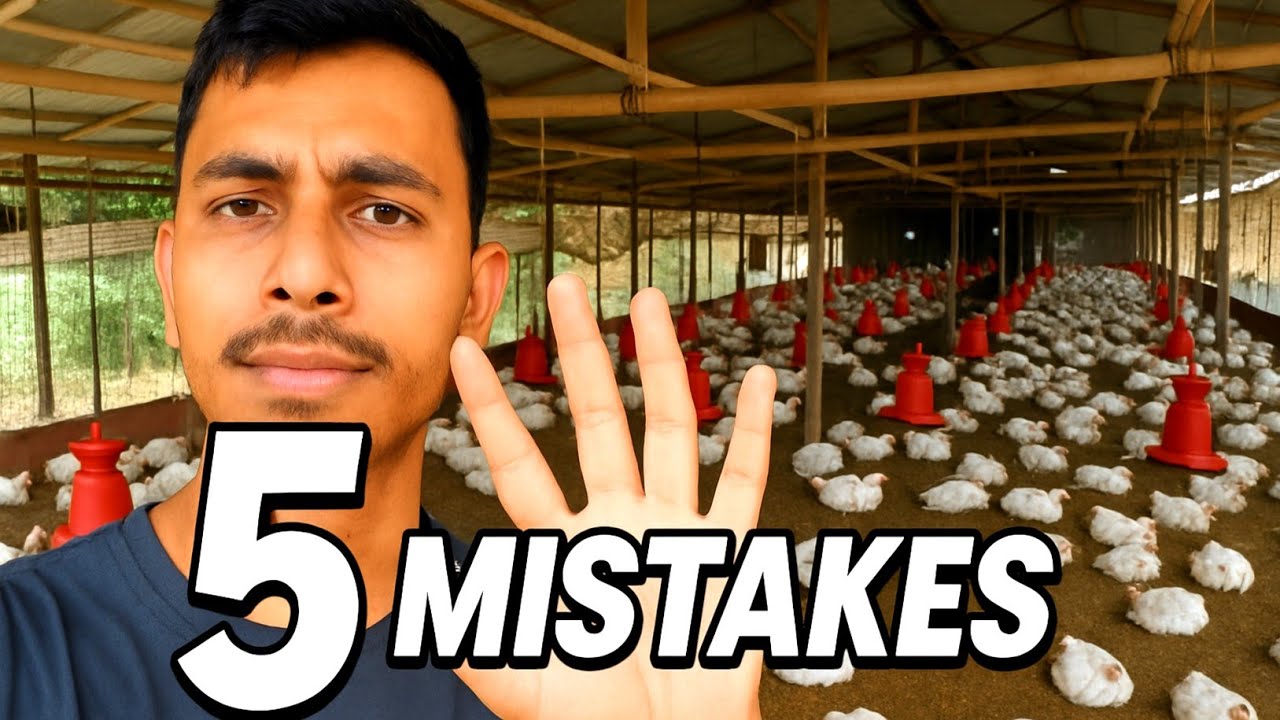 Top 5 mistakes new farmers make | New &lrm;⁨Poultry Farm Construction @BlogWithFarm⁩