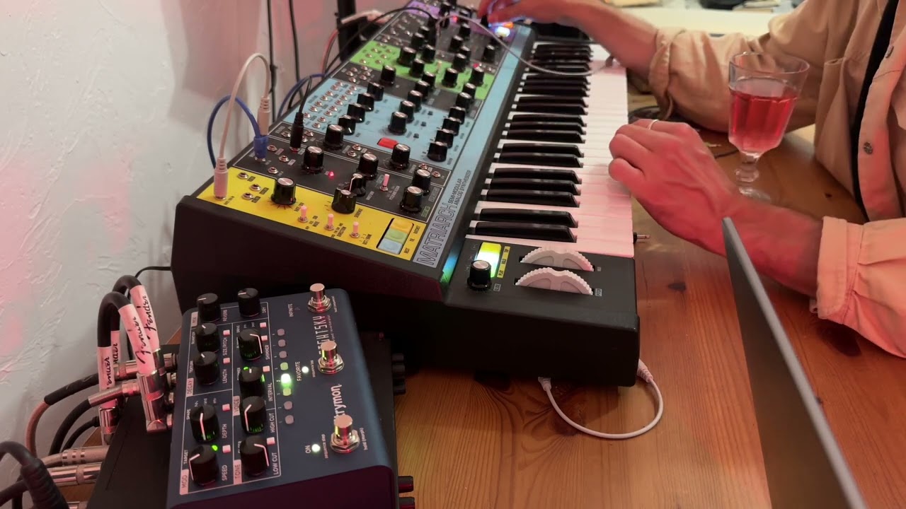 Moog Matriarch and Strymon Nightsky ambient jam