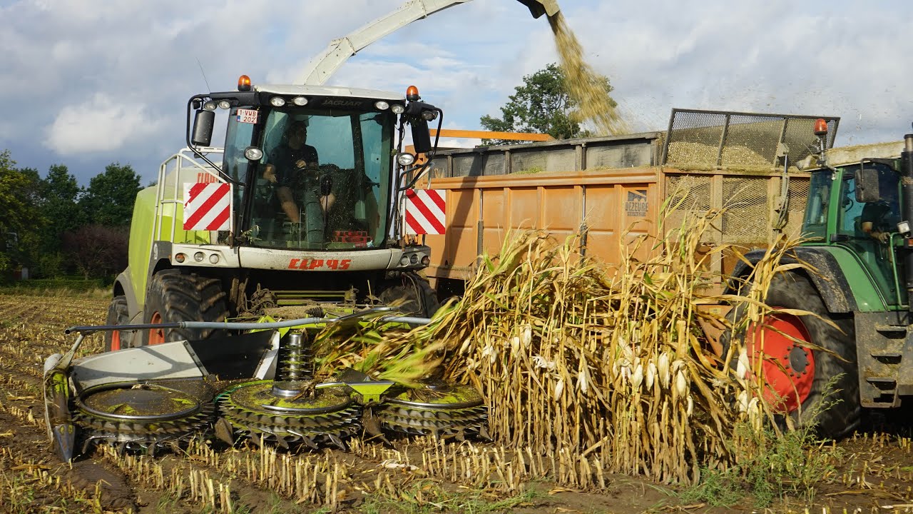 Chopping corn | Claas Jaguar 950 | landbouwwerken Volckaerts | Ginaf | fendt