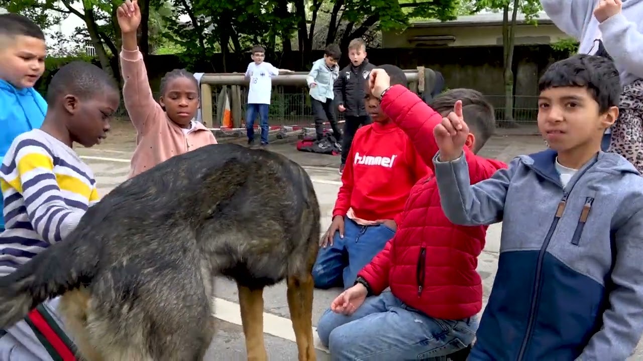 Der Deutsche Schäferhund als Schulhund (mit deutschen Untertiteln)