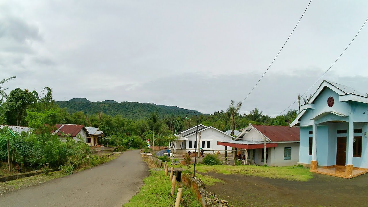 Kampung Pelosok Jawa Asli Jogja Desa Sindang Jaya Bengkulu, Pada Makmur Di Sini