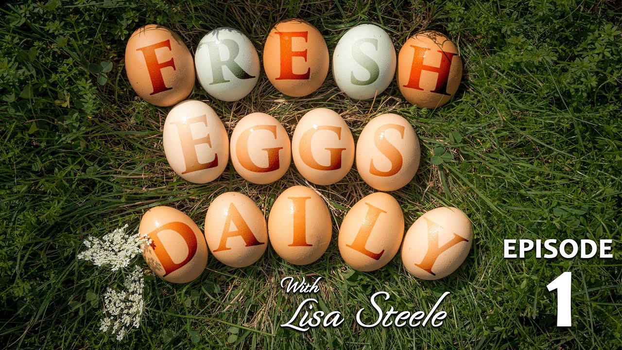 Fresh Eggs Daily with Lisa Steele - Episode 1