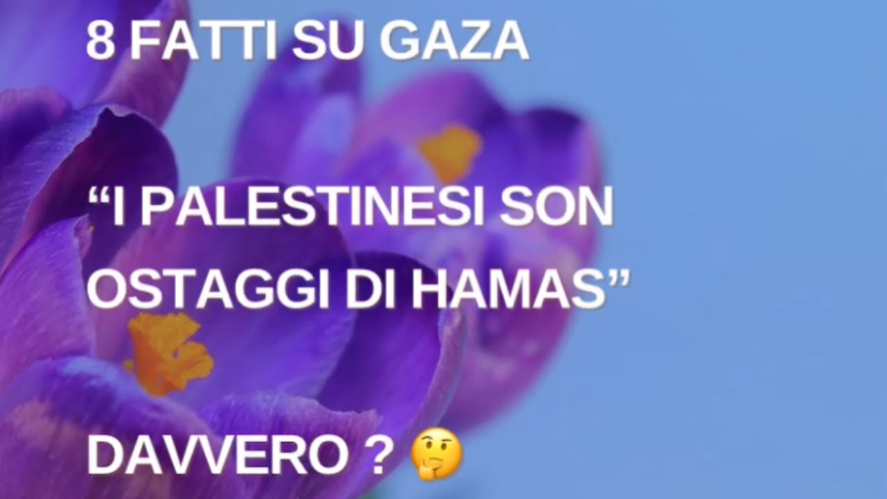 8 domande e risposte su Israele e Gaza