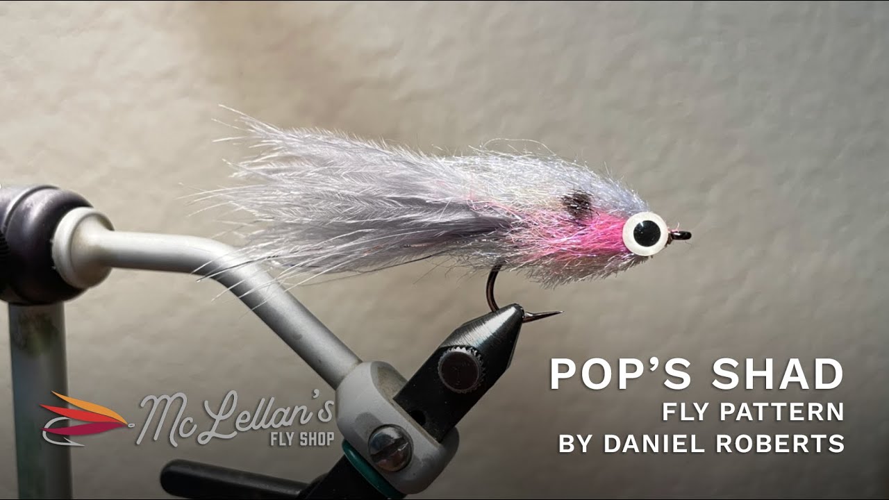 Pop's Shad Fly Pattern