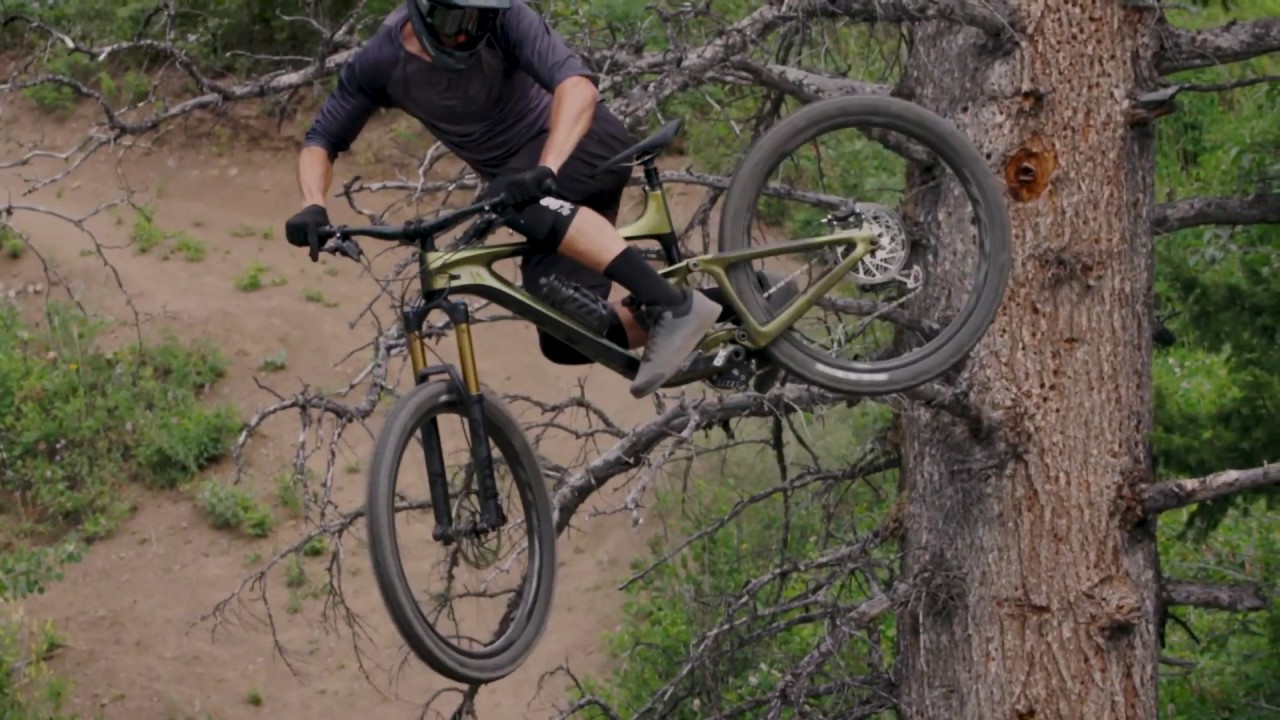 2020 REIGN 29er