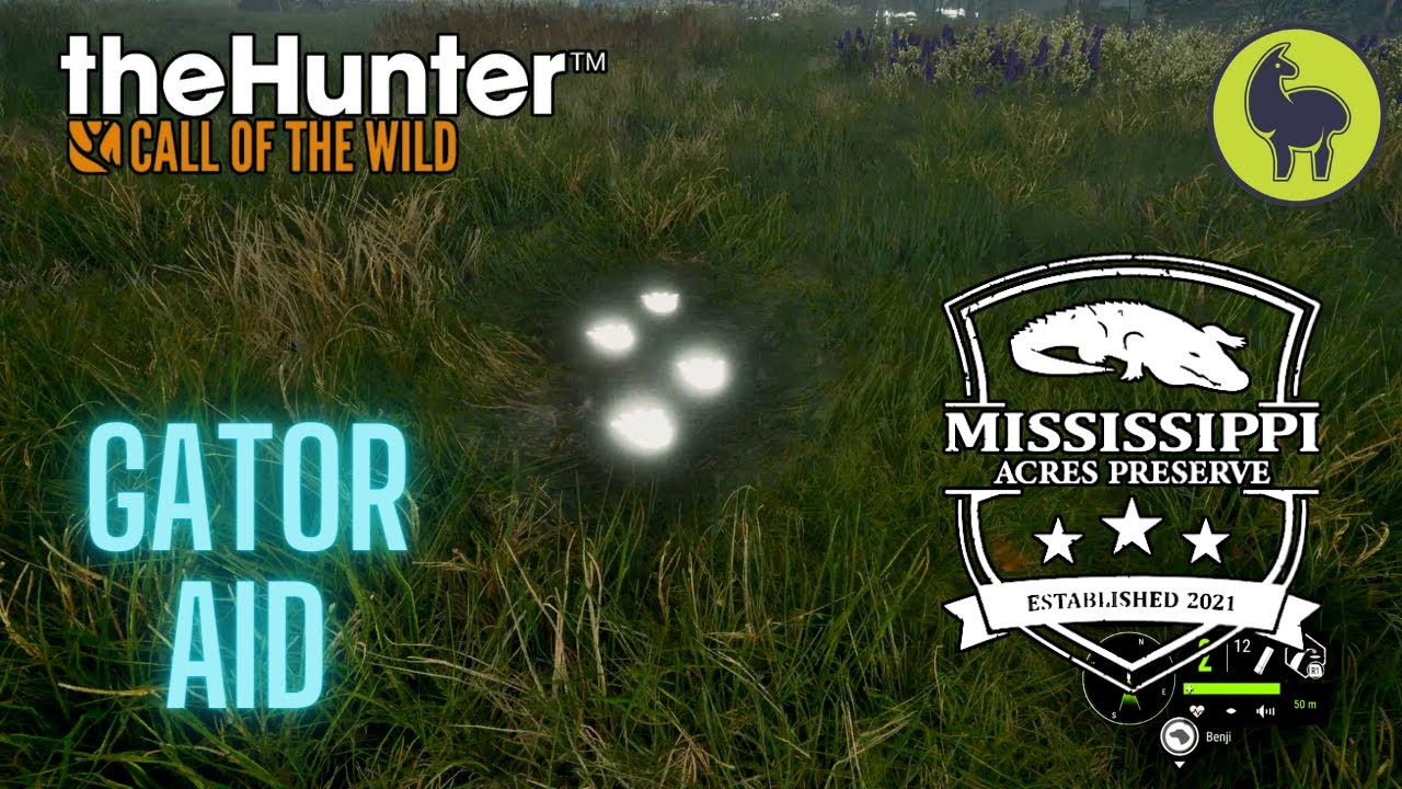 Gator Aid, Mississippi Acres | TheHunter: Call of the Wild (PS5 4K)