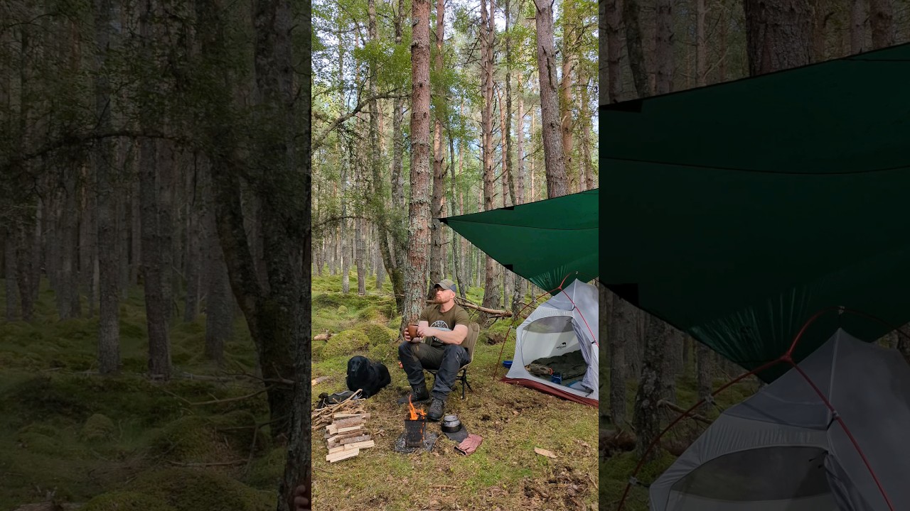 Summer is ending and camping season is finally back again! 🌲🌳 #scottishhighlands #camping #campfire