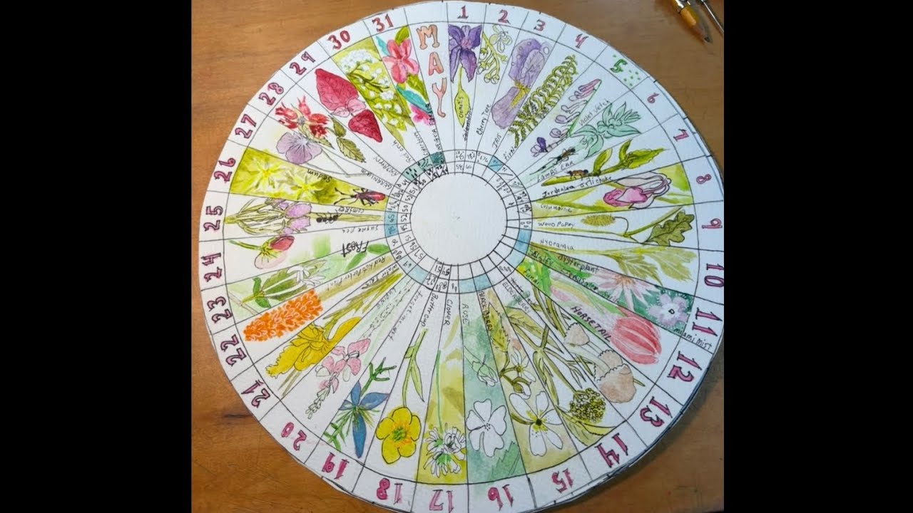 Phenology Wheel workshop