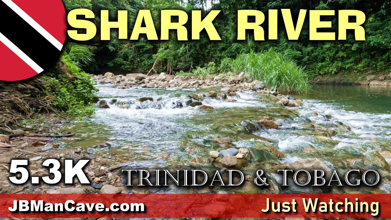 SHARK RIVER Trinidad and Tobago Caribbean 5.3K JBManCave.com