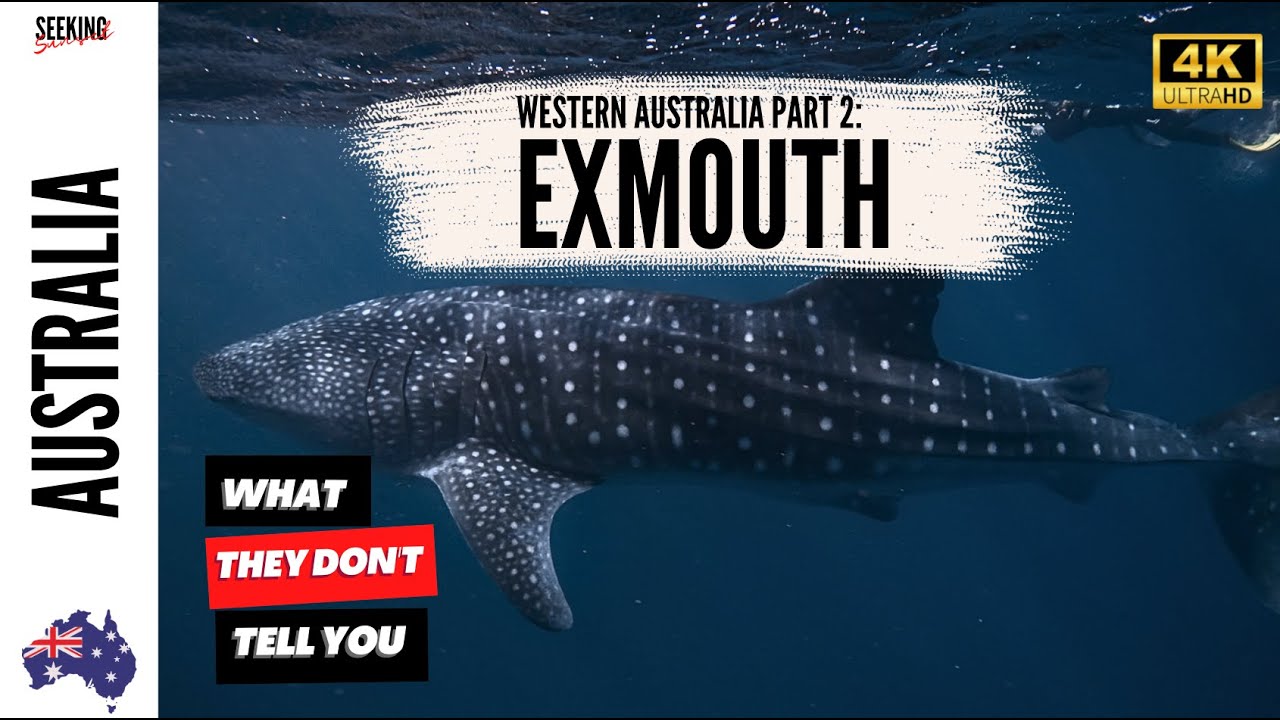 🇦🇺 TOP 12 THINGS TO DO IN EXMOUTH: Swim with Whale Sharks 🦈 🐋and More 4K #bucketlist #australia