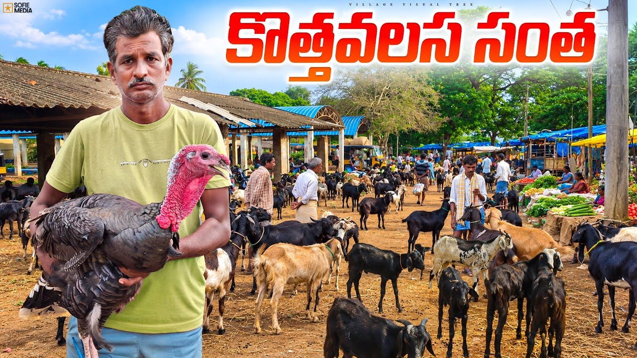 Kothavalasa Weekly Market || Kothavalasa Farmers Market
