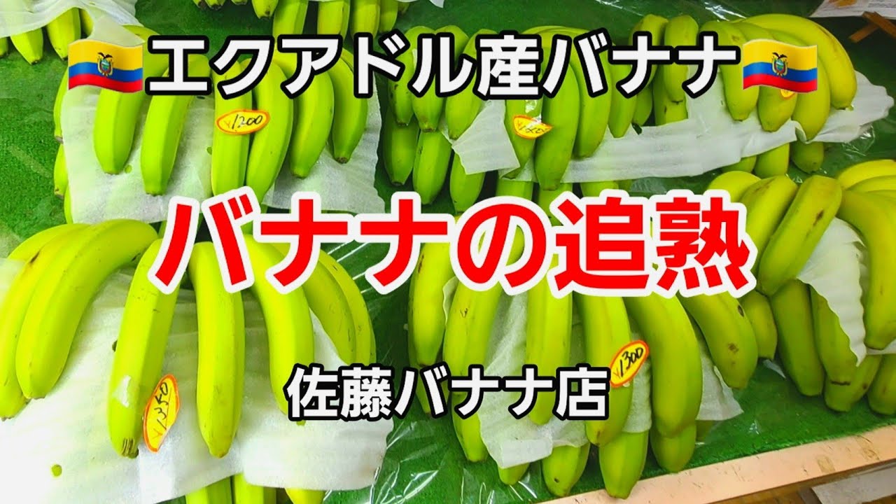 [佐藤バナナ店] 緑色のバナナを買ってきて自宅で追熟させて食べてみました！